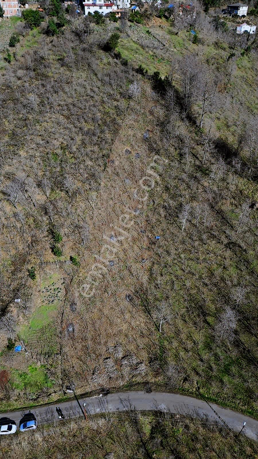 Bahadır'dan Perşembe Medreseönü Mh. Denize 800 Metre Mesafe Arsa - Görsel 5