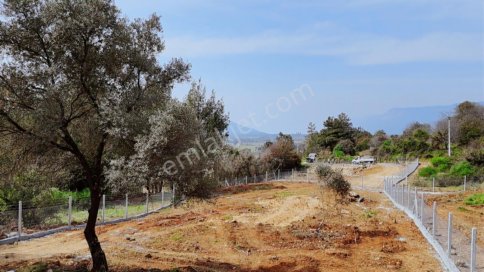 Muğla Gökova Ataköyde Satılık 1180 M² Arsa - Görsel 9