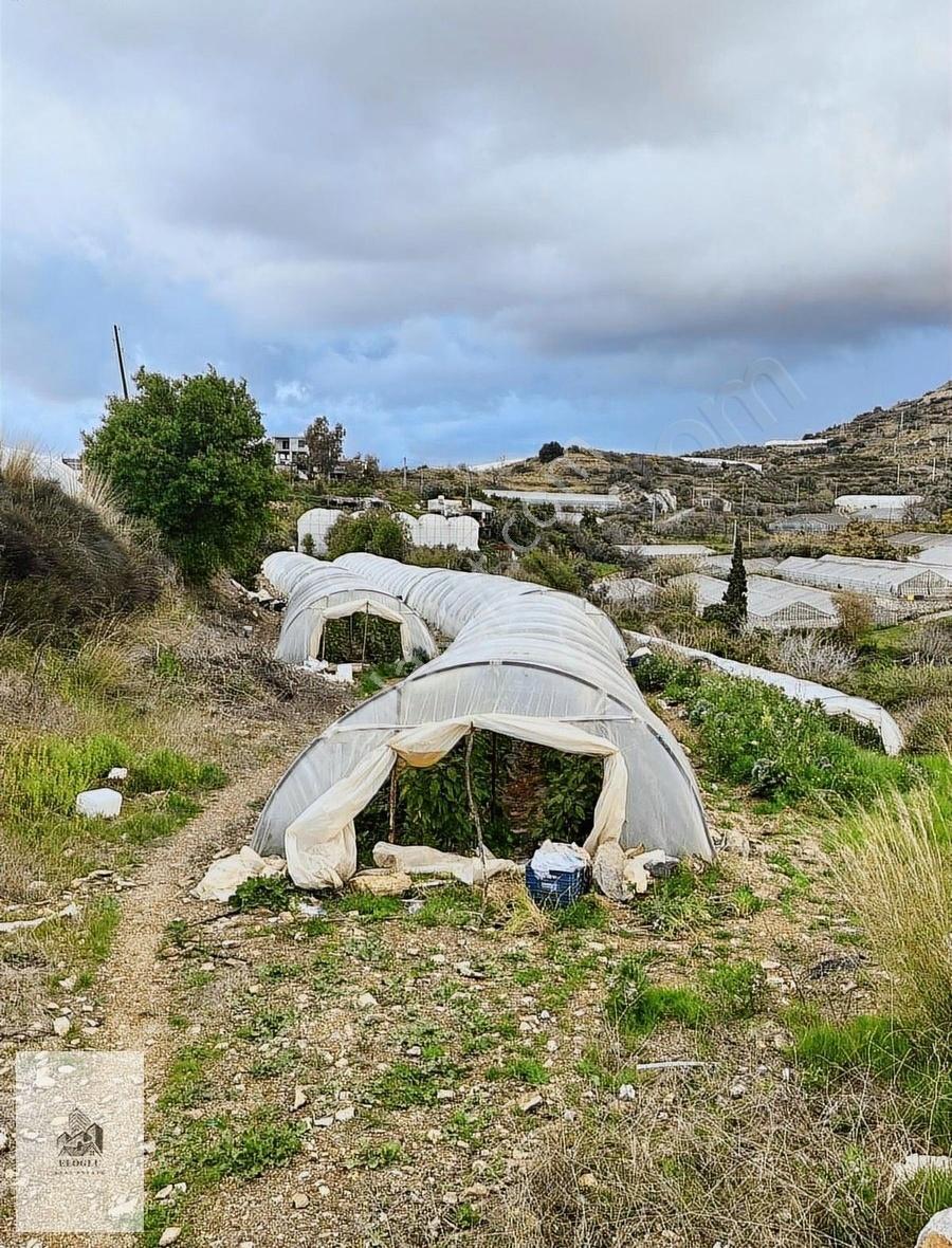 Alanya Yeşilöz'de Deniz Manzaralı Satılık Tarla (2.532 M²) - Görsel 2