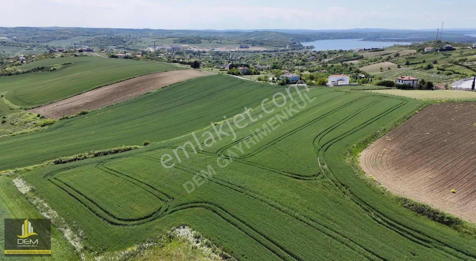 Arnavutköy Yeniköy'de Yenişehir İmar Planı İçersinde 1300m² Arsa - Görsel 4