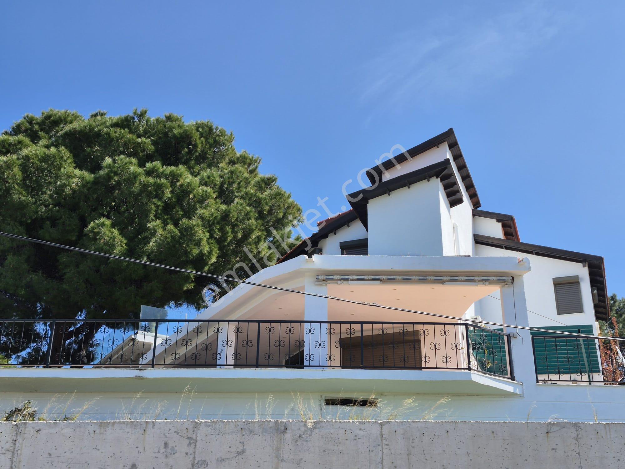 Çeşme Ardıç'ta Sezonluk Kiralık Villa - Görsel 4