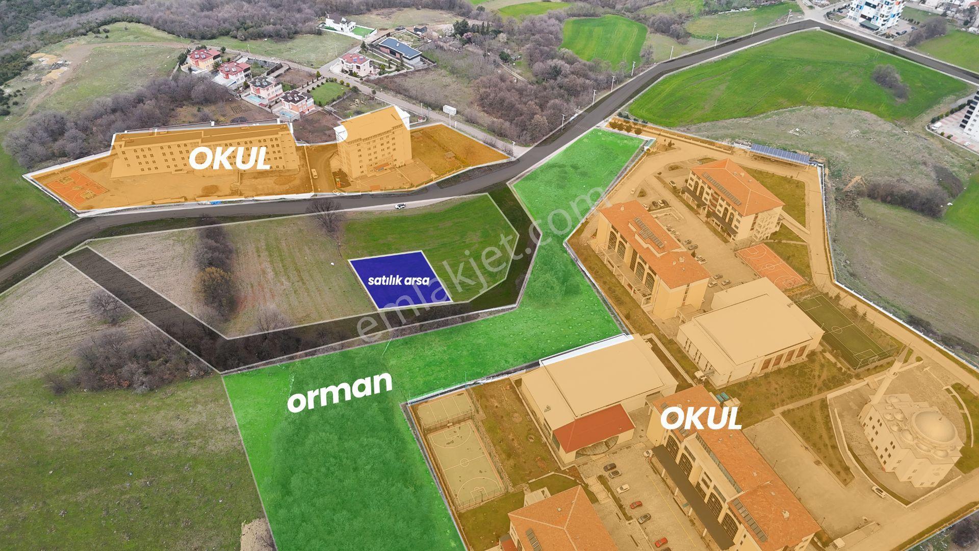 Alanlıda Karşısı Orman 12 Metrelik Yola Cephe Arsa - Görsel 5
