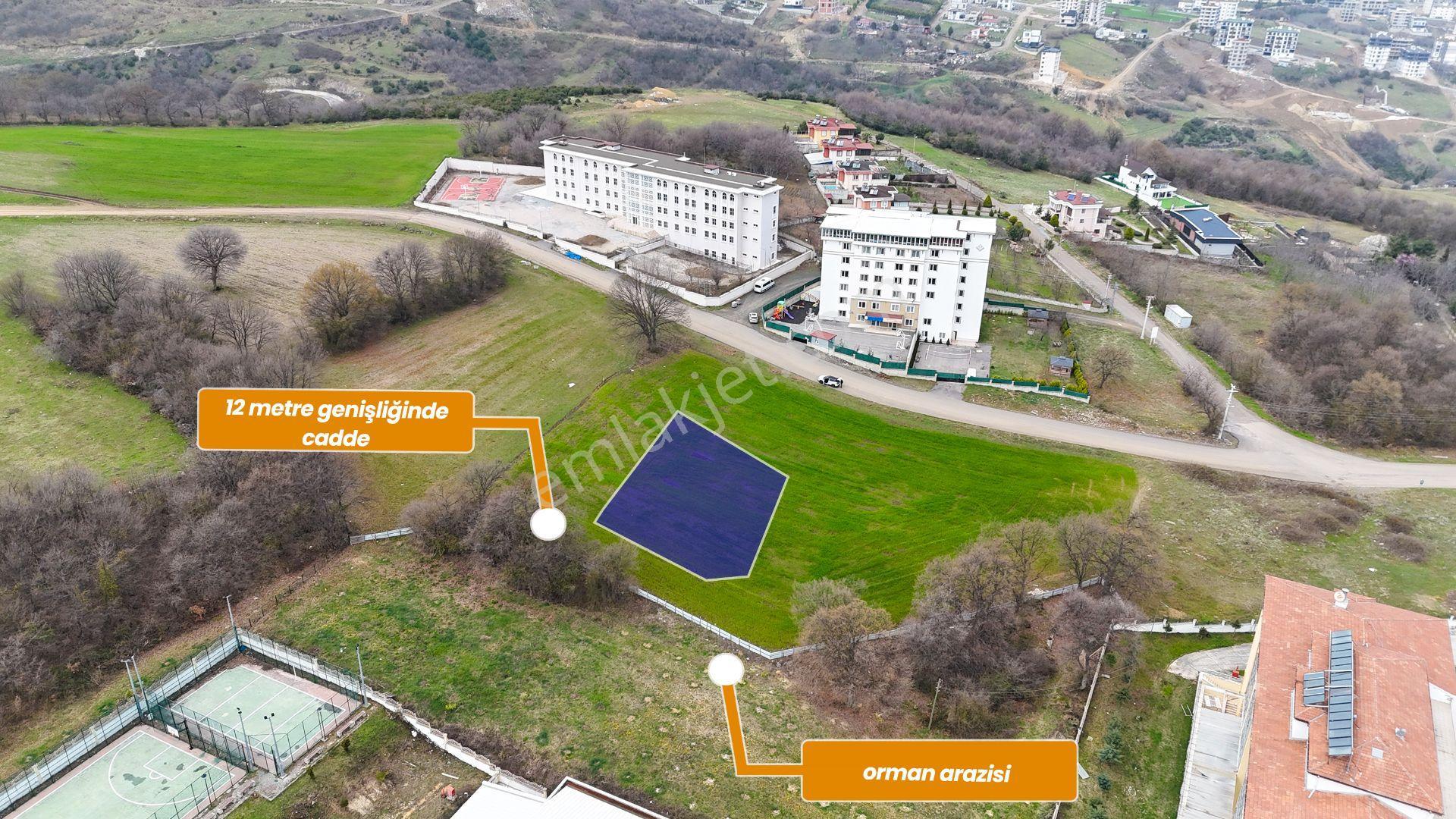 Alanlıda Karşısı Orman 12 Metrelik Yola Cephe Arsa - Görsel 6