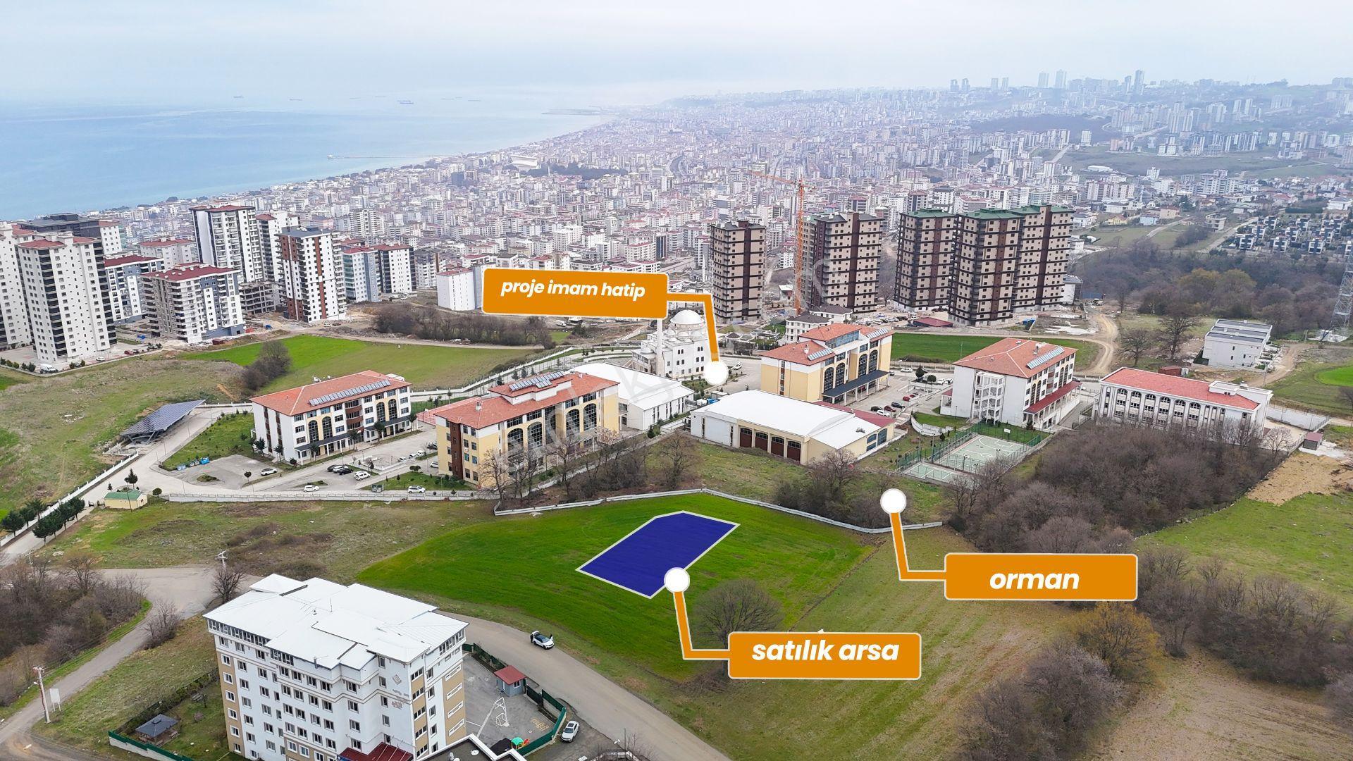 Alanlıda Karşısı Orman 12 Metrelik Yola Cephe Arsa - Görsel 2