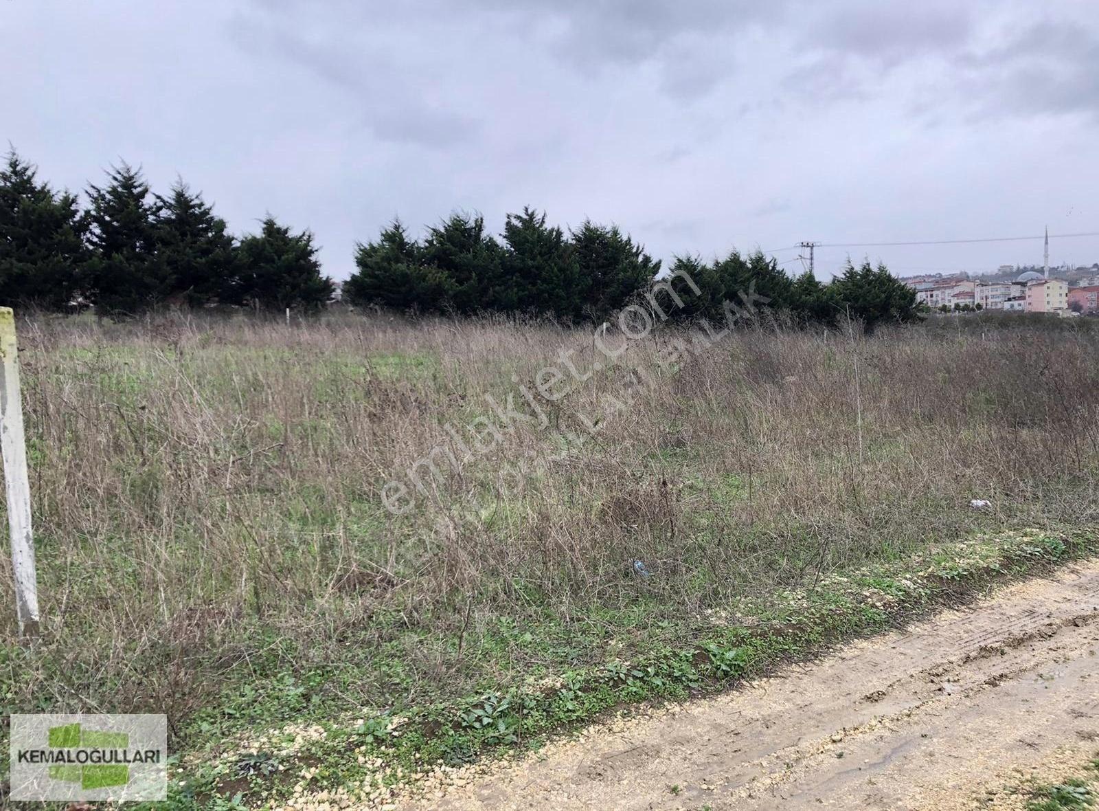 Büyükçekmece Tepecik Hürriyet Mah 500 M2 Müstakil Arsa - Görsel 14