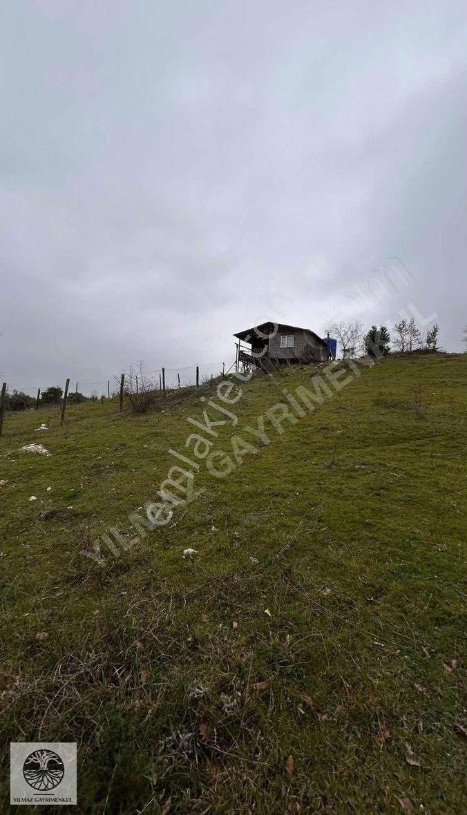 Şile Ağva Çelebi Köyünde 816m2 Manzaralı Arazi - Görsel 14