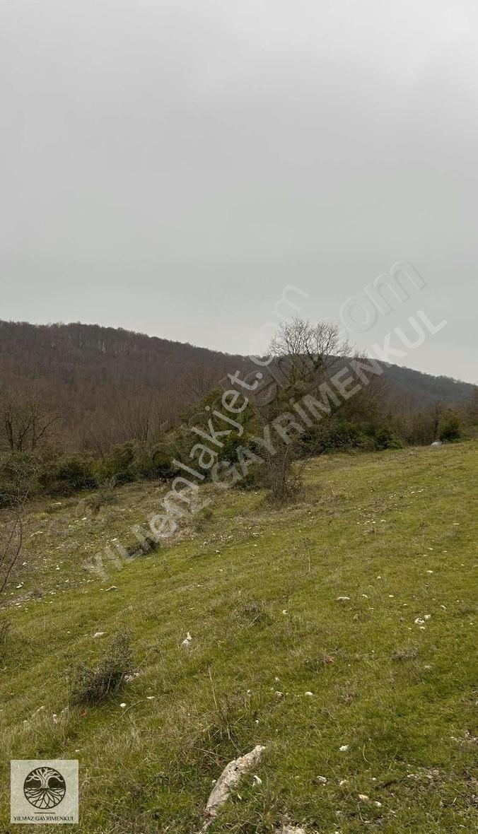 Şile Ağva Çelebi Köyünde Manzaralı 720m2 Arazi - Görsel 3