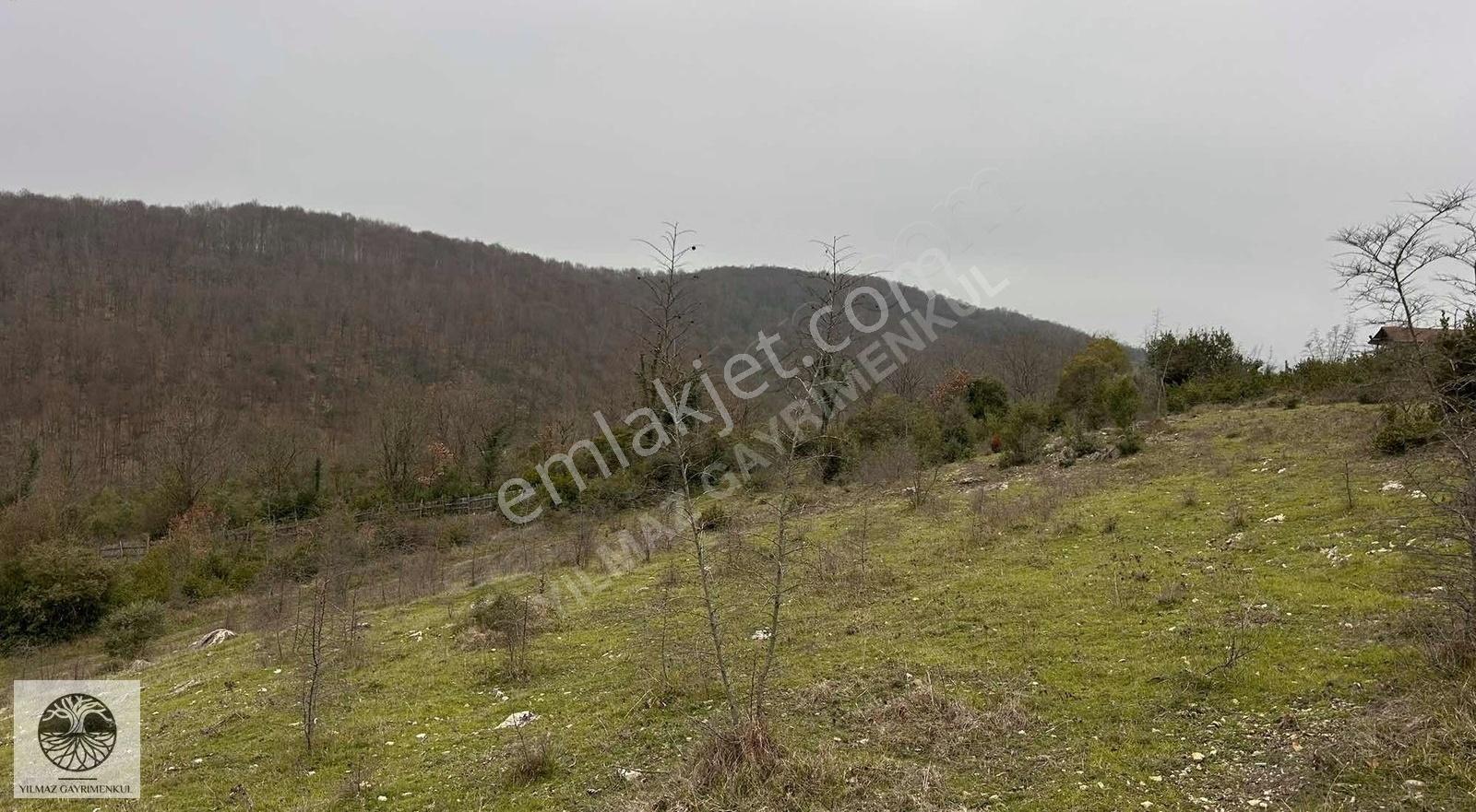 Şile Ağva Çelebi Köyünde Manzaralı 720m2 Arazi - Görsel 9