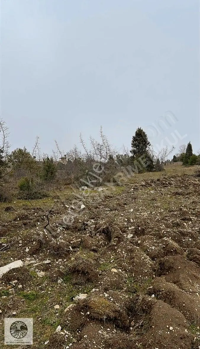 Şile Ağva Çelebi Köyünde 1322m2 Manzaralı Arazi - Görsel 3