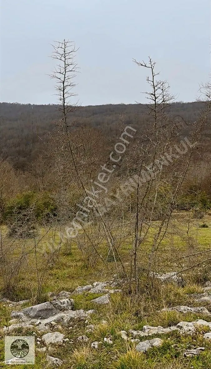 Şile Ağva Çelebi Köyünde 935m2 Arazi - Görsel 4