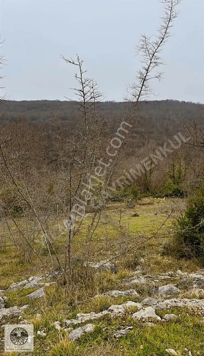 Şile Ağva Çelebi Köyünde 935m2 Arazi - Görsel 5