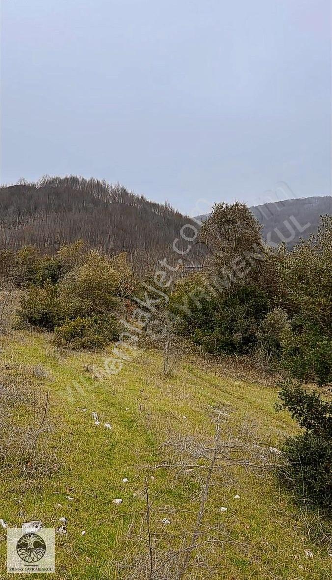 Şile Ağva Çelebi Köyünde 935m2 Arazi - Görsel 8