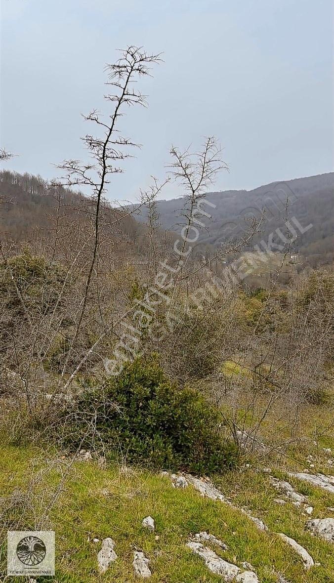 Şile Ağva Çelebi Köyünde 935m2 Arazi - Görsel 6