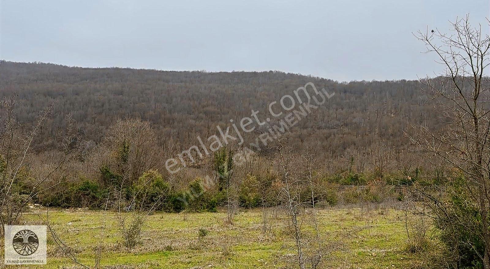 Şile Ağva Çelebi Köyünde 935m2 Arazi - Görsel 2