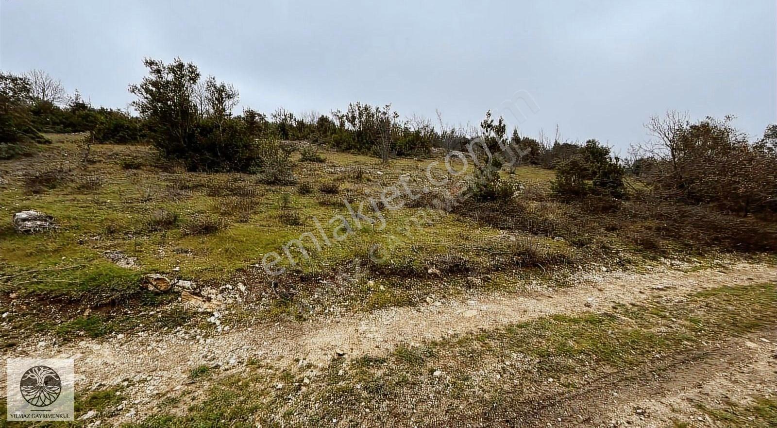 Şile Ağva Çelebi Köyünde 935m2 Arazi - Görsel 7