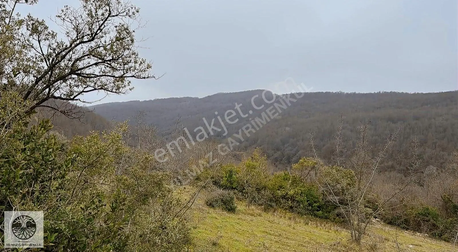 Şile Ağva Çelebi Köyünde 935m2 Arazi - Görsel 3
