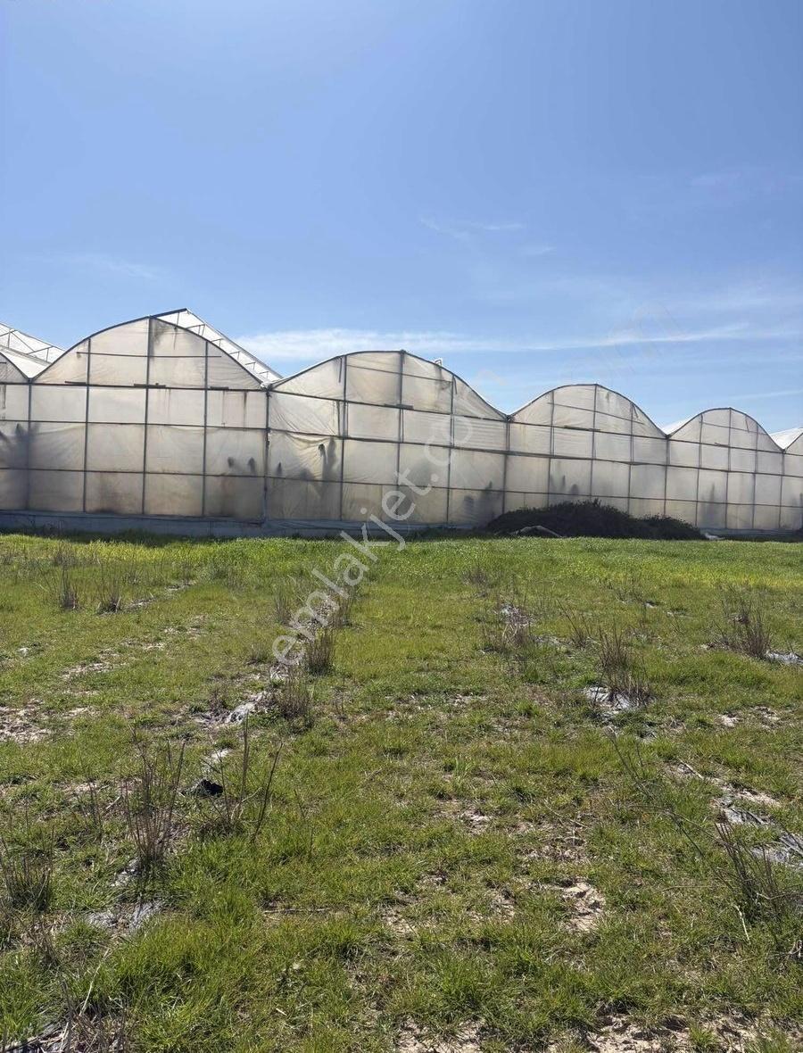 Serik Çandır Müstakil 5.076 M2 Satılık Tarla (çandır Hal Civarı) - Görsel 2