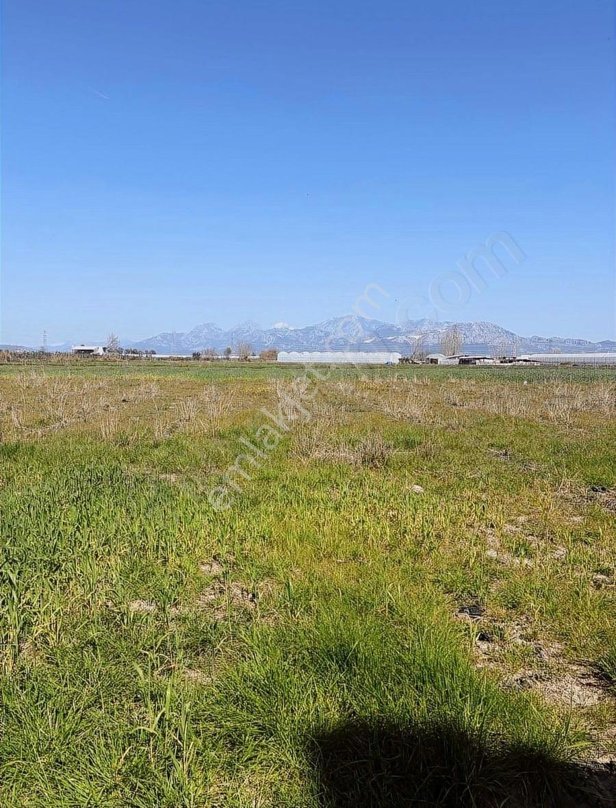 Serik Çandır Müstakil 5.076 M2 Satılık Tarla (çandır Hal Civarı)