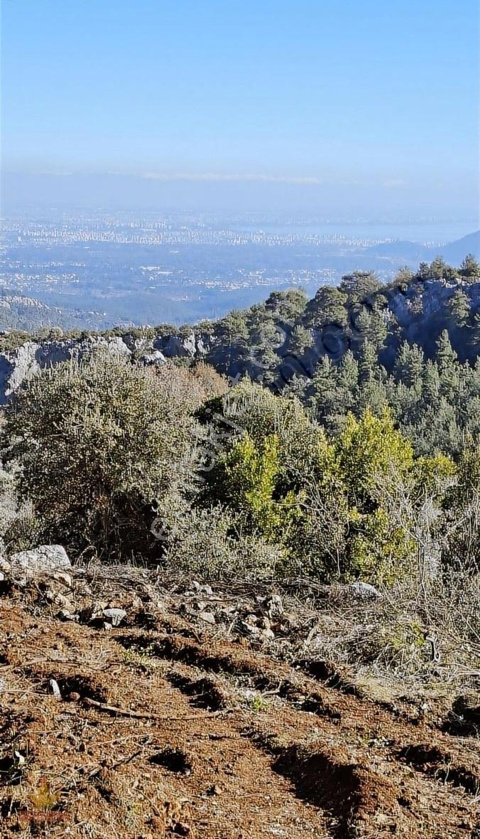 Antalya Konyaaltı Çağlarca'da Deniz Ve Şehir Manzaralı 500m2 Ara - Görsel 10