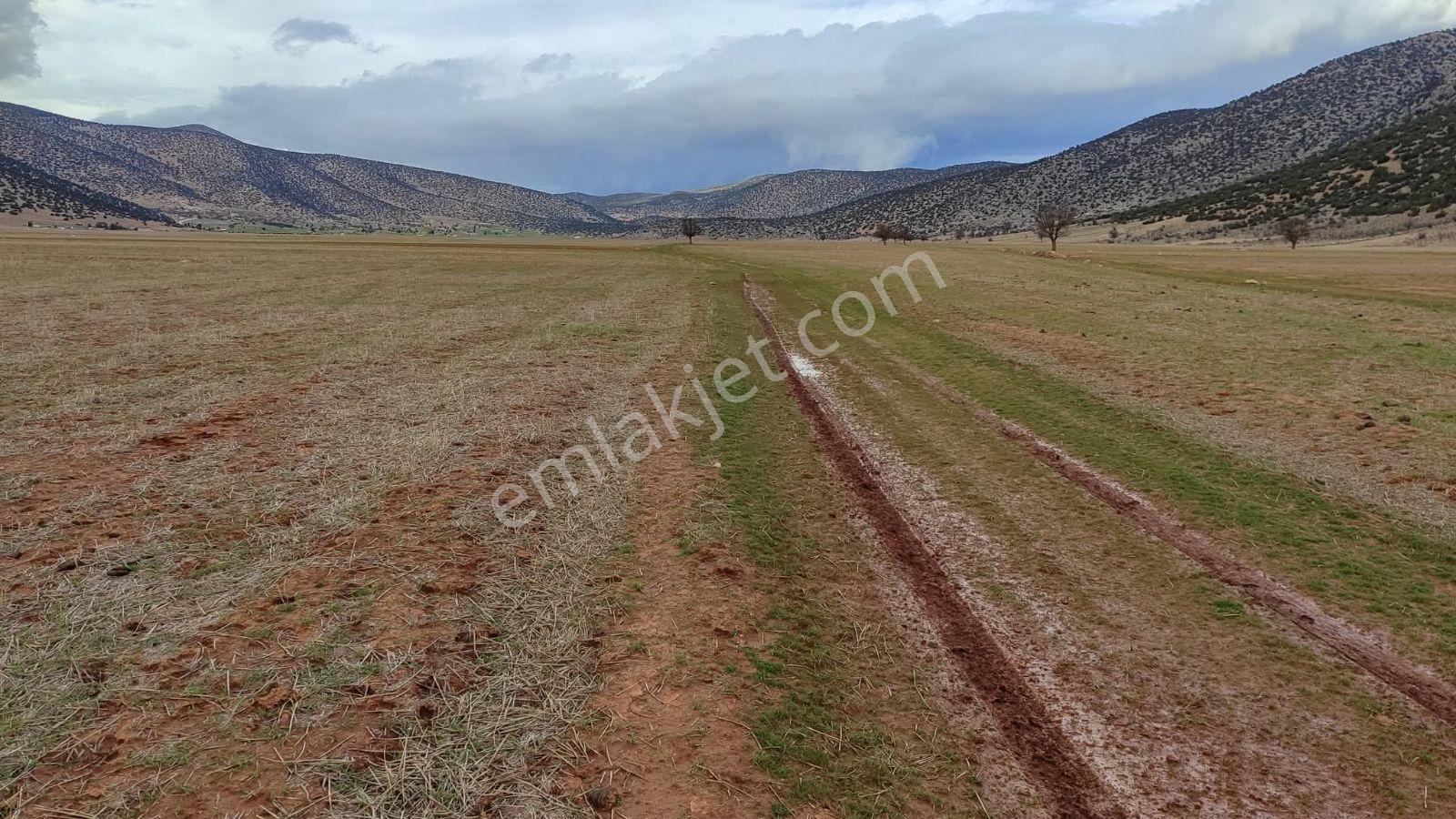 Korkuteli İmecik De Satılık 813m2 Tarla Resmi Yol Var - Görsel 25
