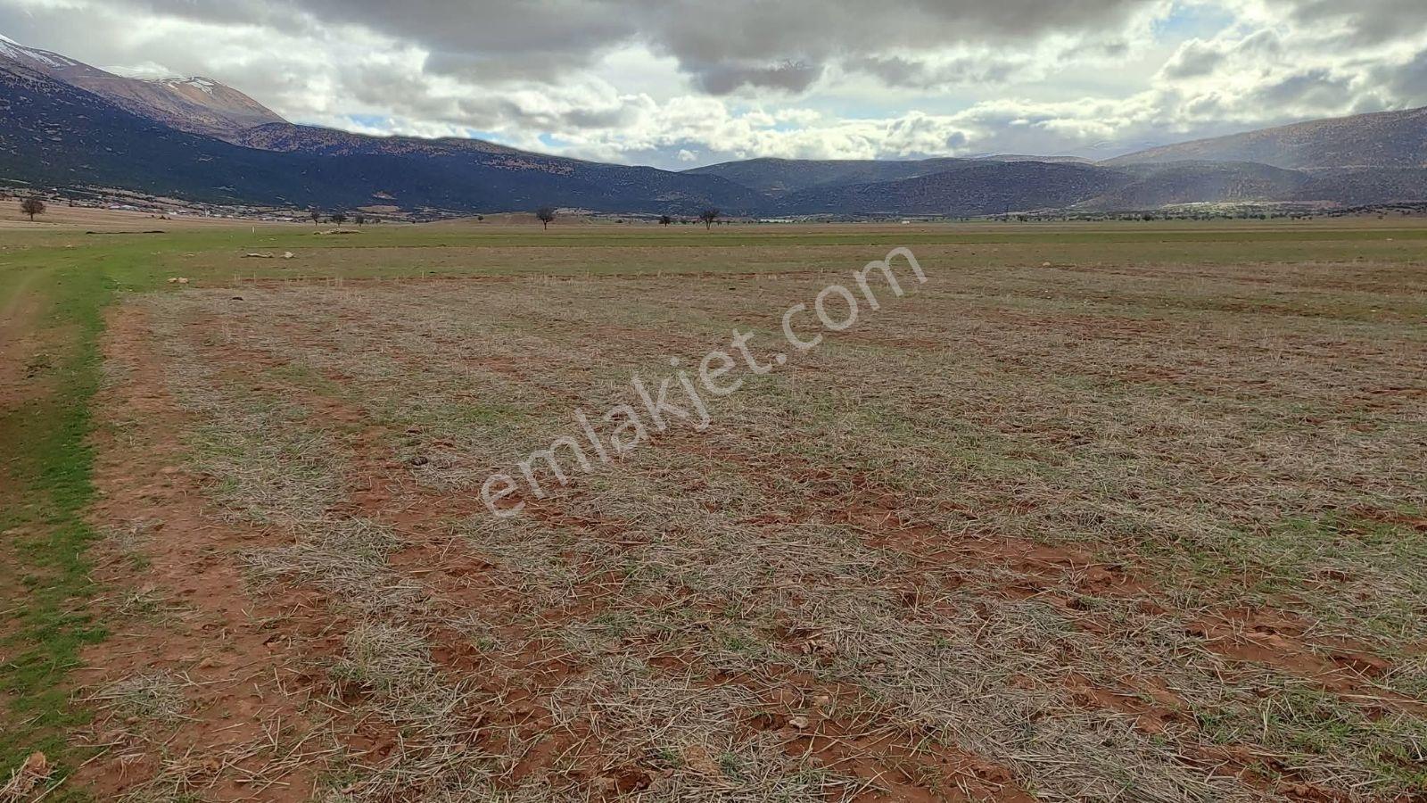 Korkuteli İmecik De Satılık 813m2 Tarla Resmi Yol Var - Görsel 23