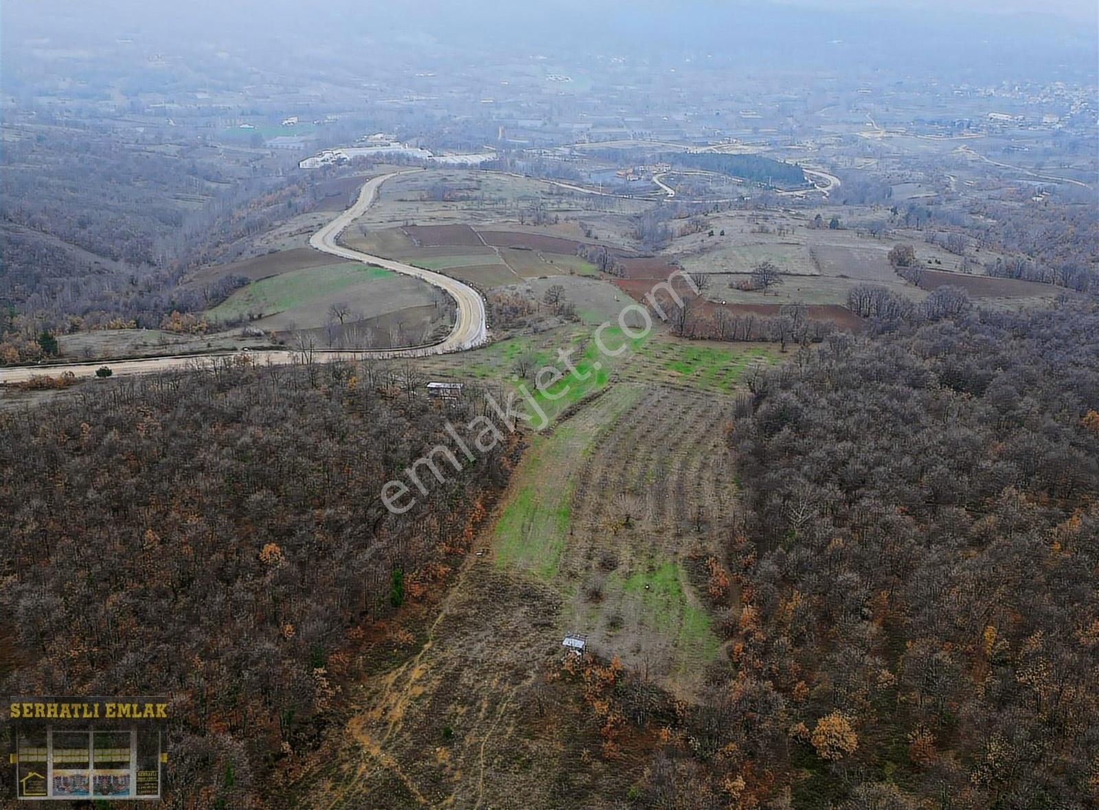 Serhatlı'dan Kurşunlu'da Satılık 13.200 M2 Tarla - Görsel 2