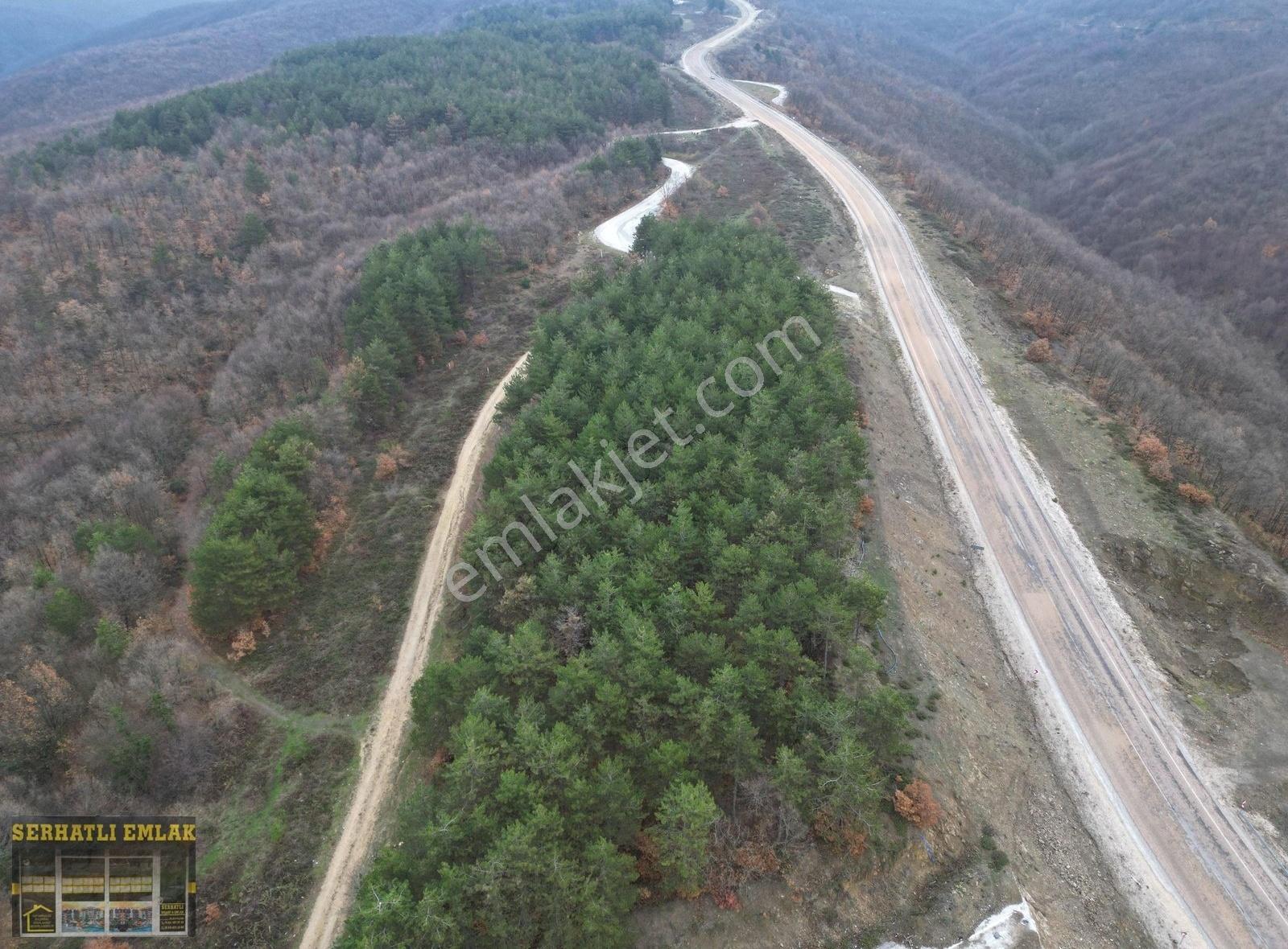 Serhatlı'dan Kurşunlu'da Satılık 13.200 M2 Tarla - Görsel 6
