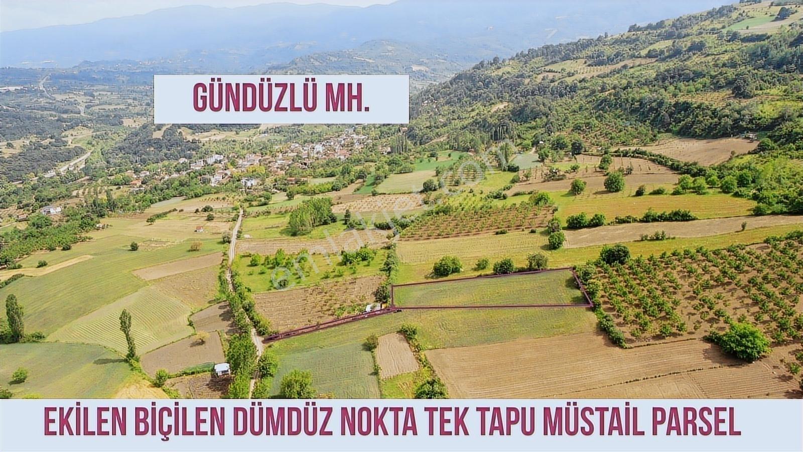 Gündüzlü'de Satılık 4600m2 Dümdüz Arazi Yatırım Ve Hobi İçin - Görsel 6