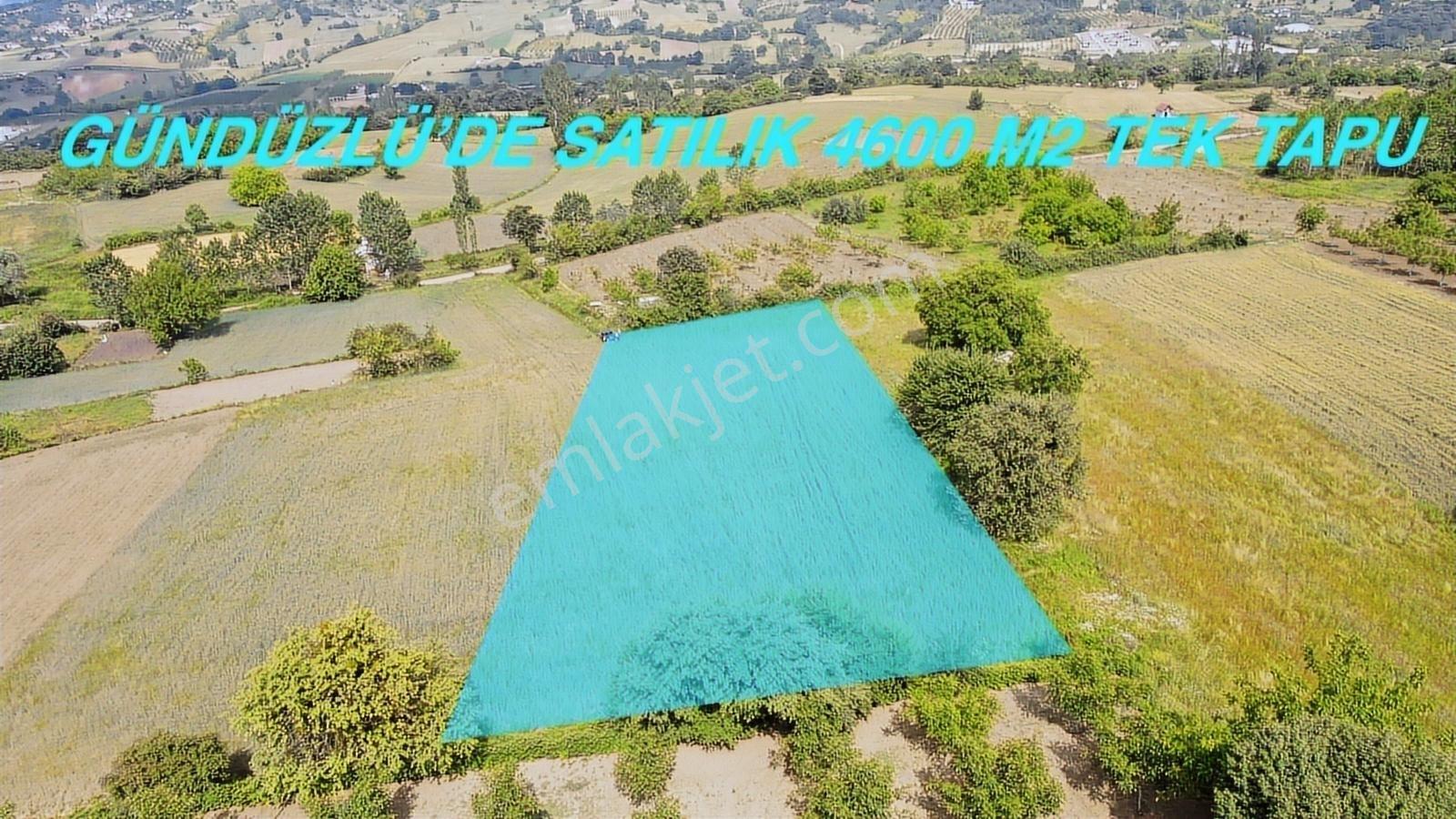 Gündüzlü'de Satılık 4600m2 Dümdüz Arazi Yatırım Ve Hobi İçin - Görsel 3