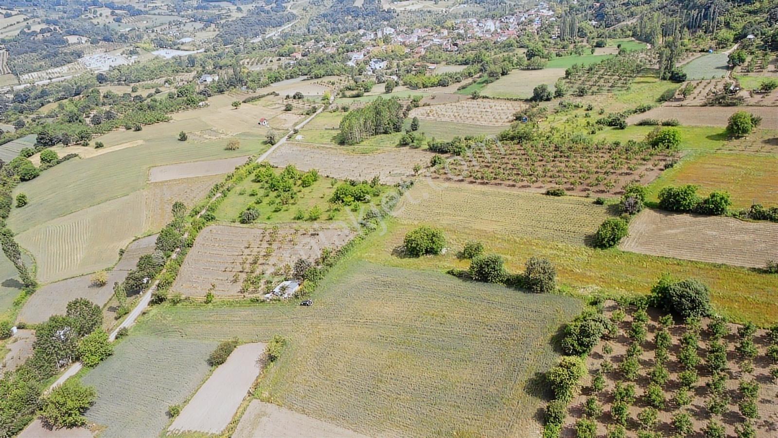 Gündüzlü'de Satılık 4600m2 Dümdüz Arazi Yatırım Ve Hobi İçin - Görsel 8