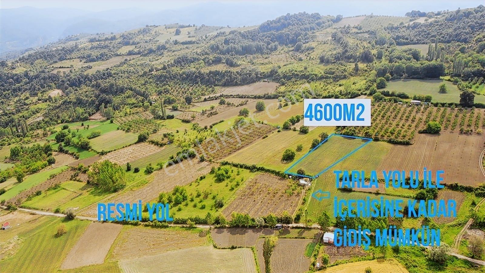 Gündüzlü'de Satılık 4600m2 Dümdüz Arazi Yatırım Ve Hobi İçin - Görsel 4