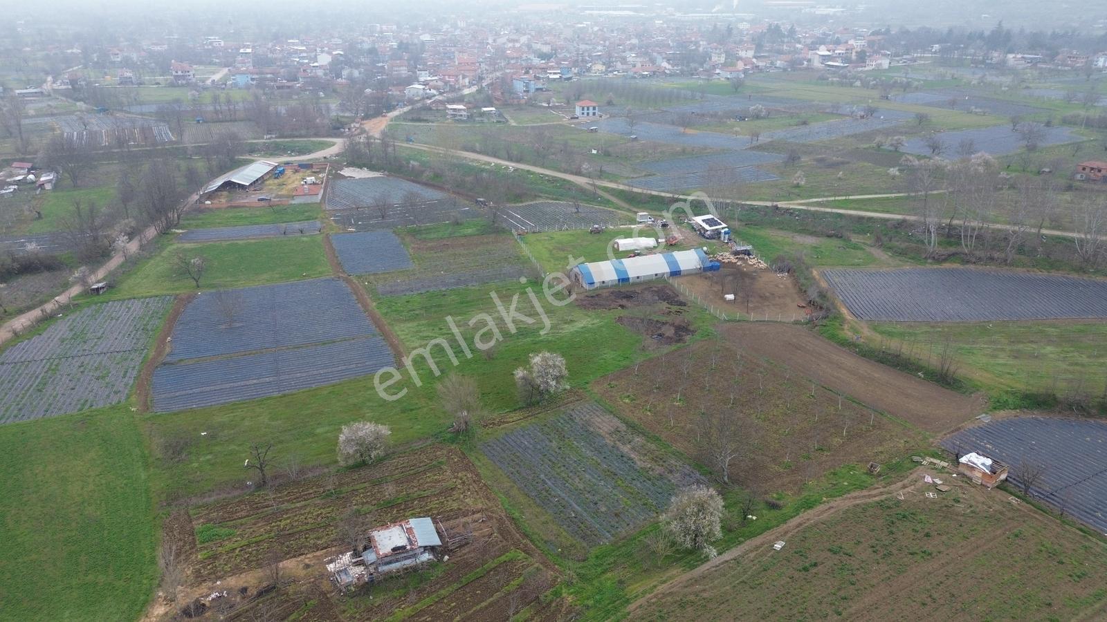 Kurşunlu'da Satılık 150m2 Tarla Dümdüz Yapıda Çok Uygun Fiyata - Görsel 8