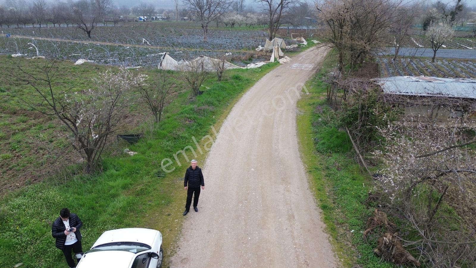Kurşunlu'da Satılık 150m2 Tarla Dümdüz Yapıda Çok Uygun Fiyata - Görsel 2