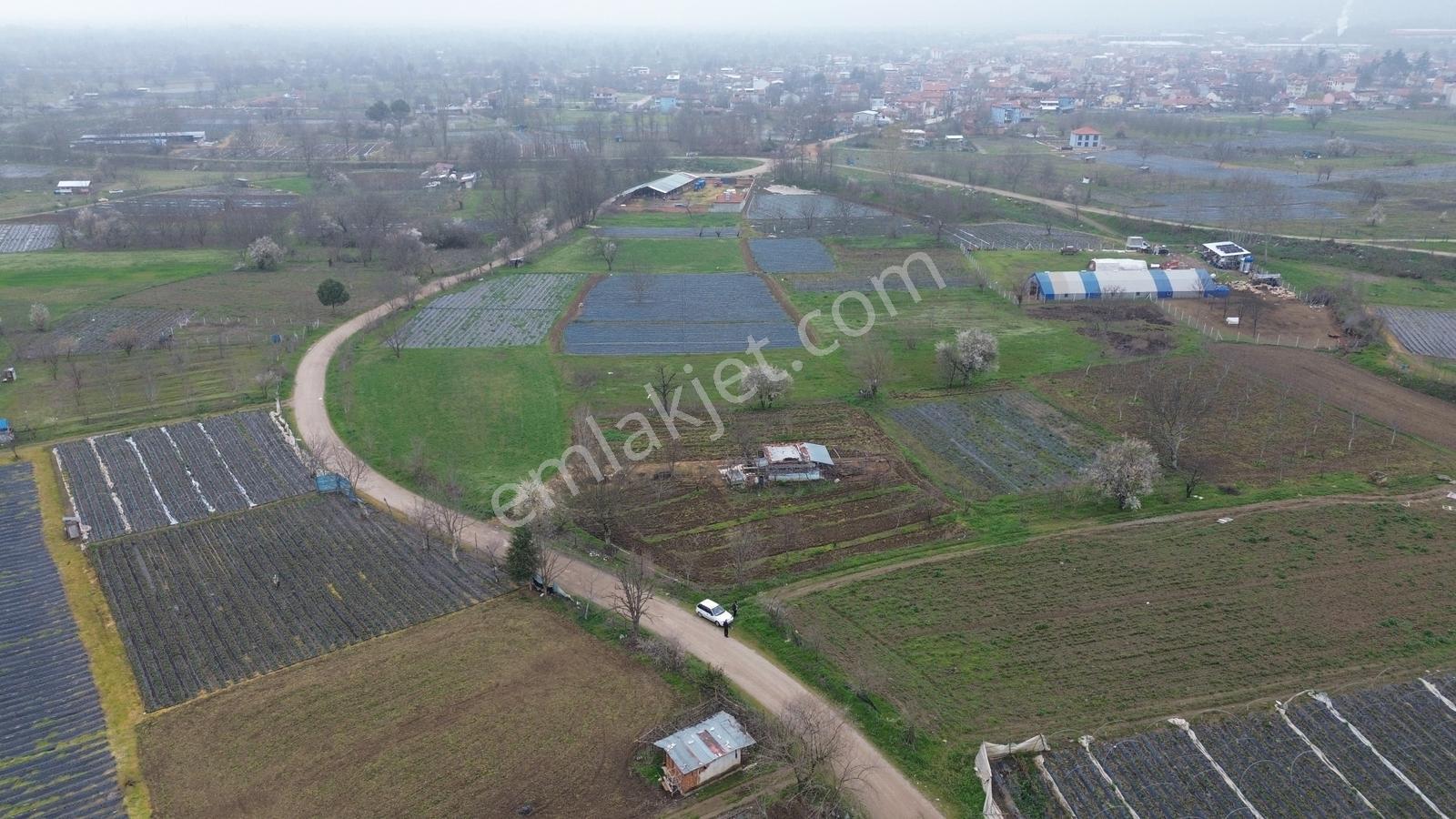 Kurşunlu'da Satılık 150m2 Tarla Dümdüz Yapıda Çok Uygun Fiyata - Görsel 15