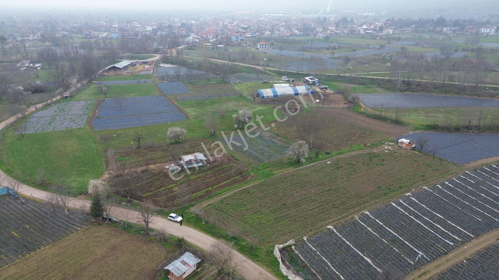 Kurşunlu'da Satılık 150m2 Tarla Dümdüz Yapıda Çok Uygun Fiyata - Görsel 9