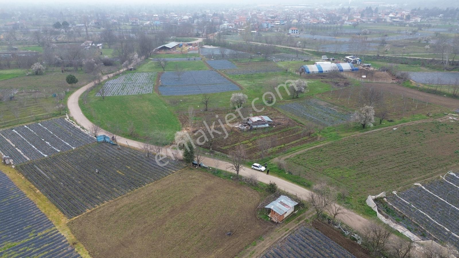 Kurşunlu'da Satılık 150m2 Tarla Dümdüz Yapıda Çok Uygun Fiyata - Görsel 17