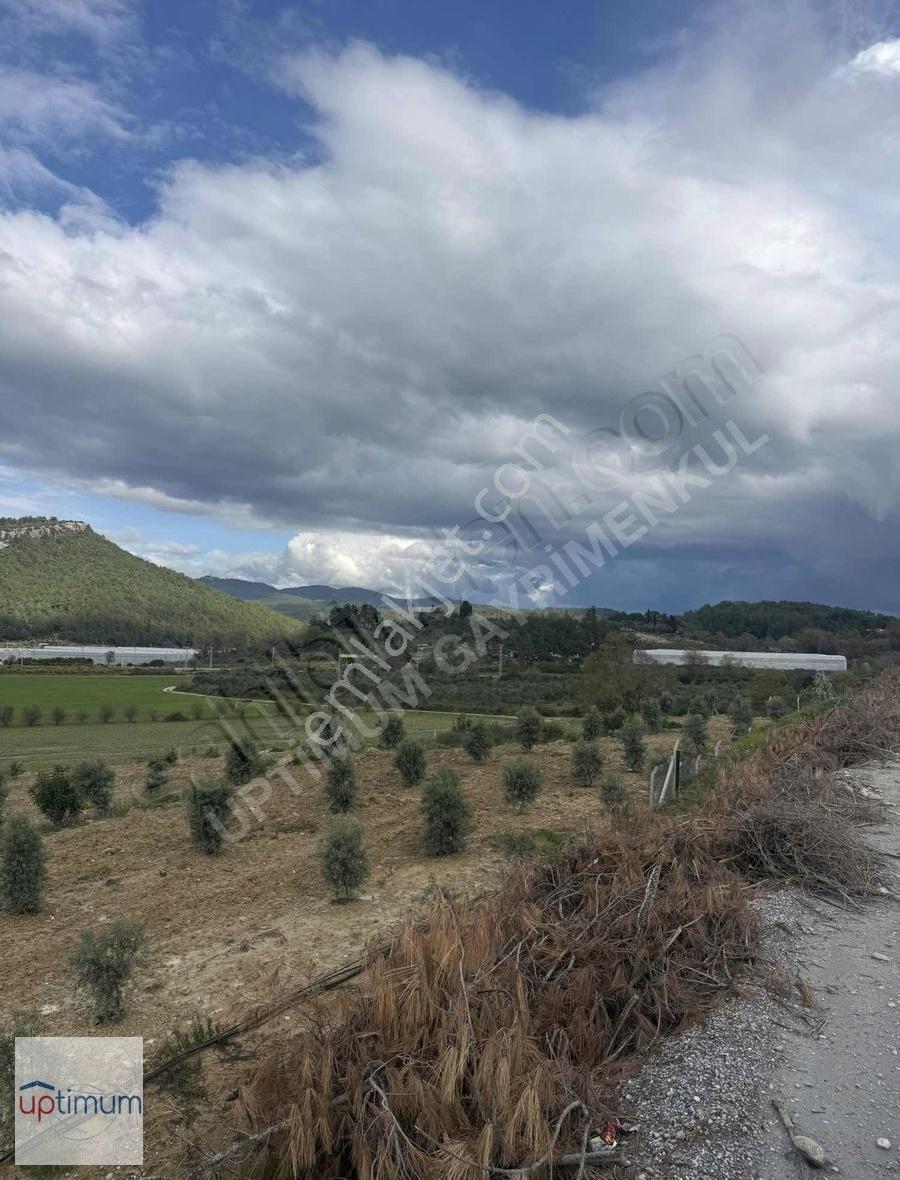 Manavgat Uzunlar Mahallesinde Tek Tapu 7857 M2 Tarla Satışta - Görsel 8