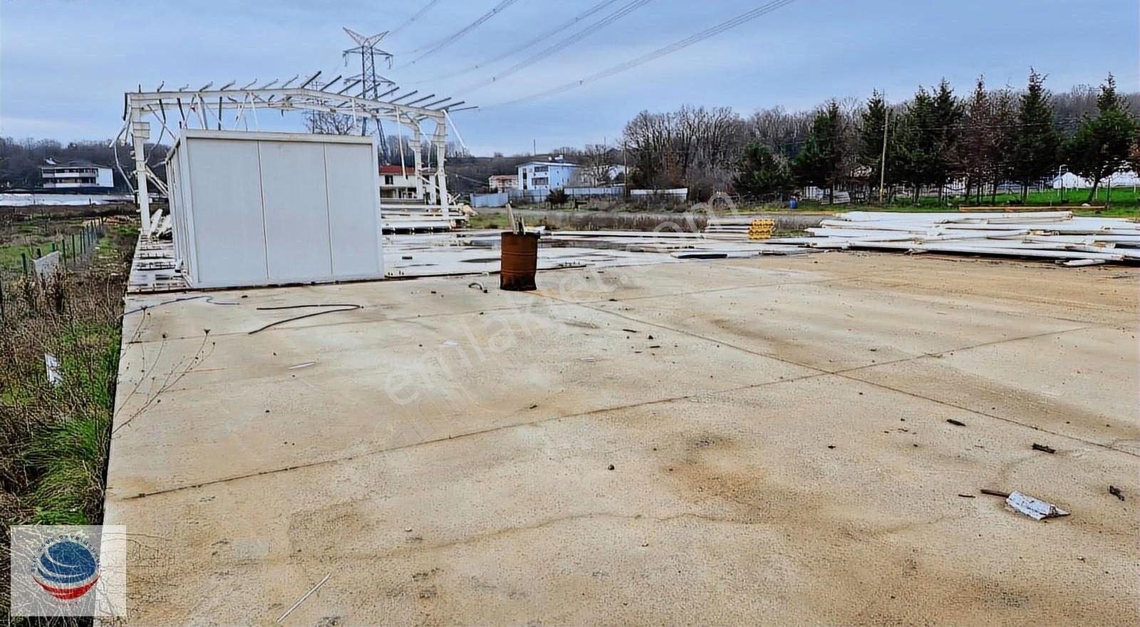 Cumaköy'de Satılık 2600 M² Alanda 1000 M² Beton Sahalı Arsa - Görsel 13