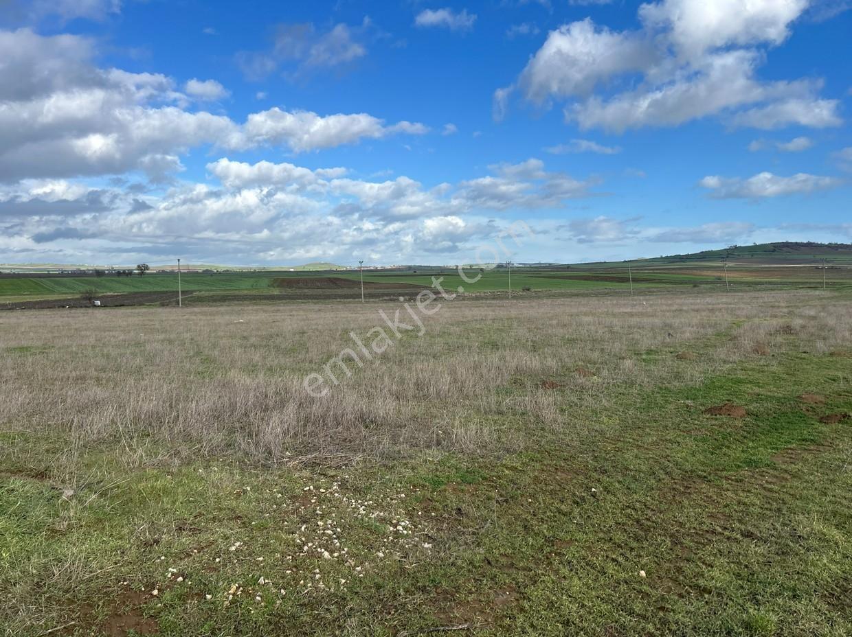 Malkara Karacagür'de Yola Cephe 250m2 Arsa