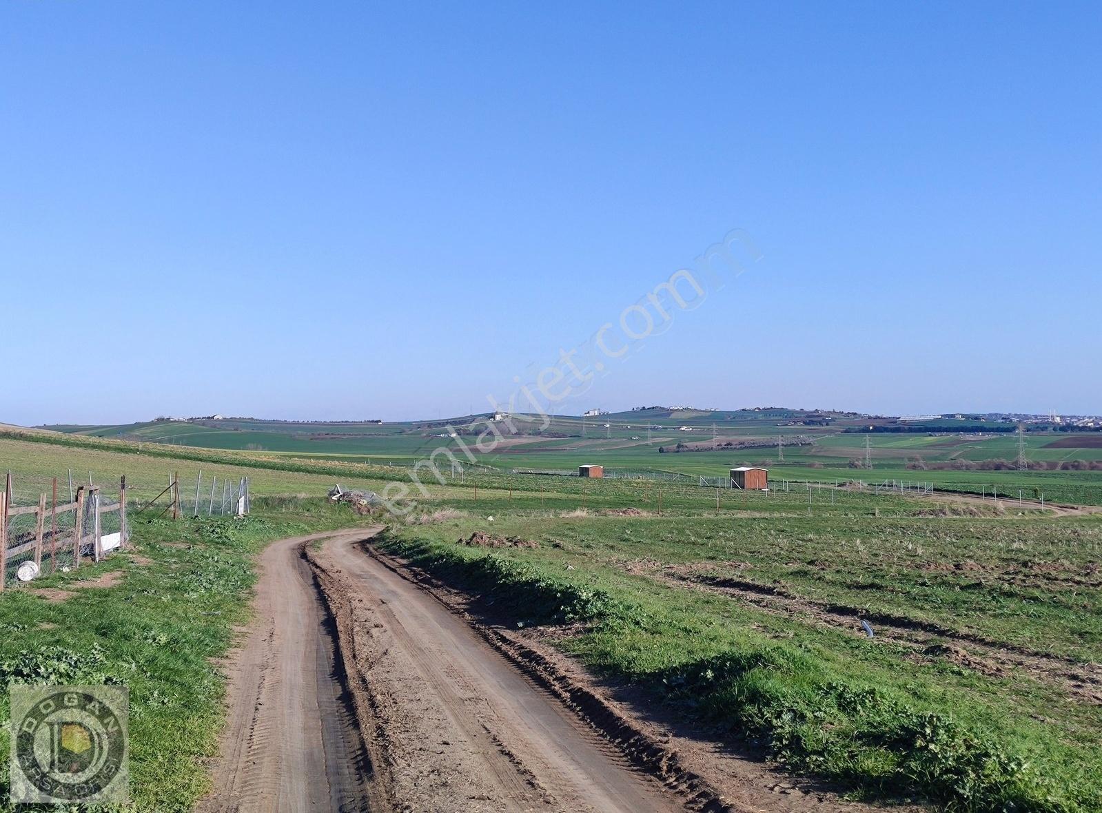 Marmaraereğlisi Çeşmelide Çok Uygun Fiyatta Kelepir Arsalar - Görsel 14