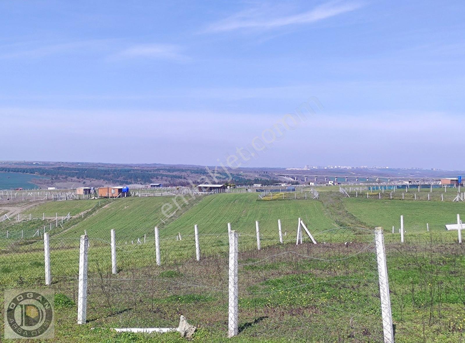 Silivri Balabanda Satılık İmarlı İfrazlı 250 Metre Kelepir Arsa - Görsel 6