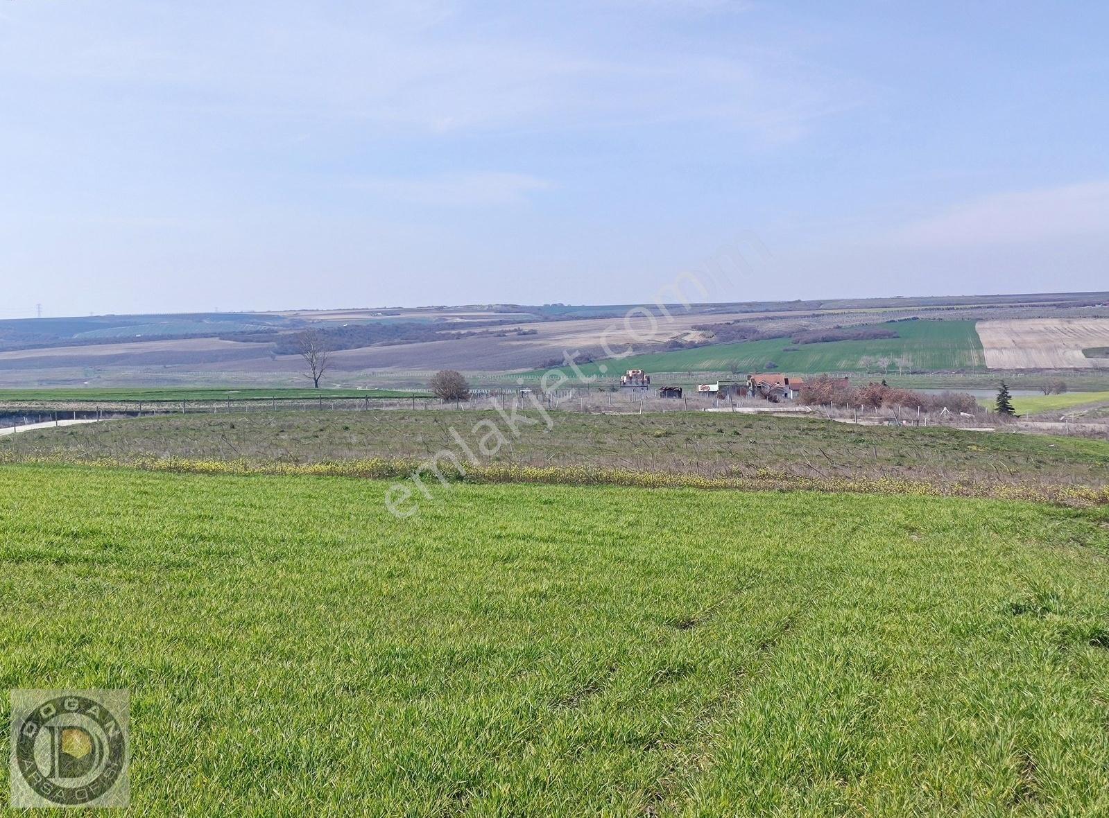 Silivri Balabanda Satılık İmarlı İfrazlı 250 Metre Kelepir Arsa - Görsel 2