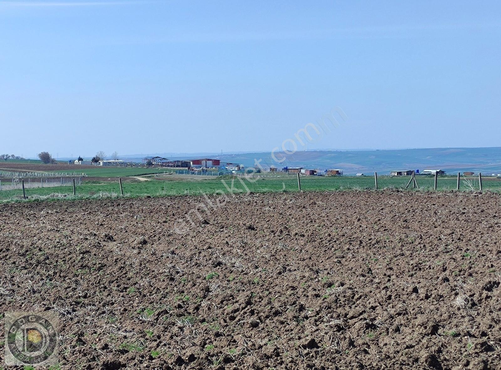 İstanbul Silivri Değirmenköy De Tek Tapu Müstakil Tarla - Görsel 25