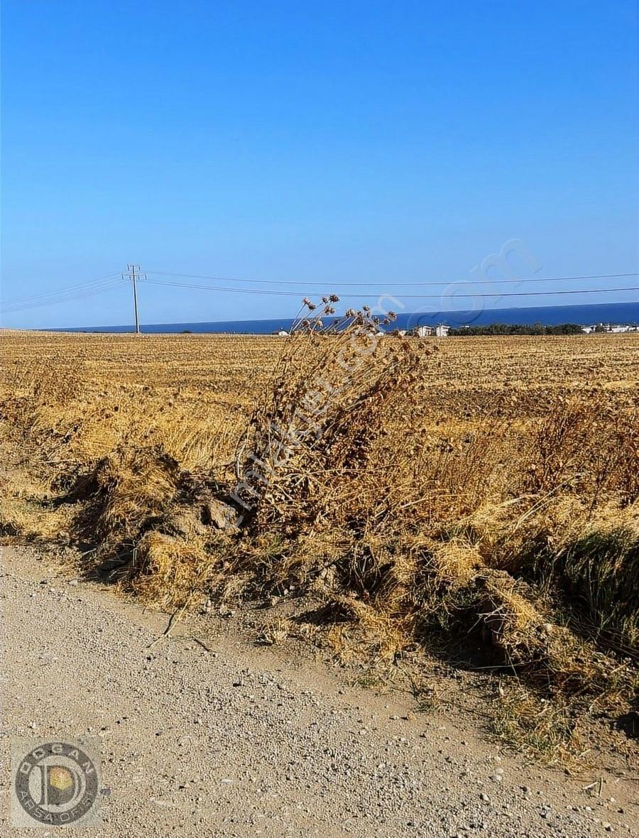 Tekirdağ Marmara Ereğlisinde Kaçırılmayacak Fırsatlar - Görsel 9
