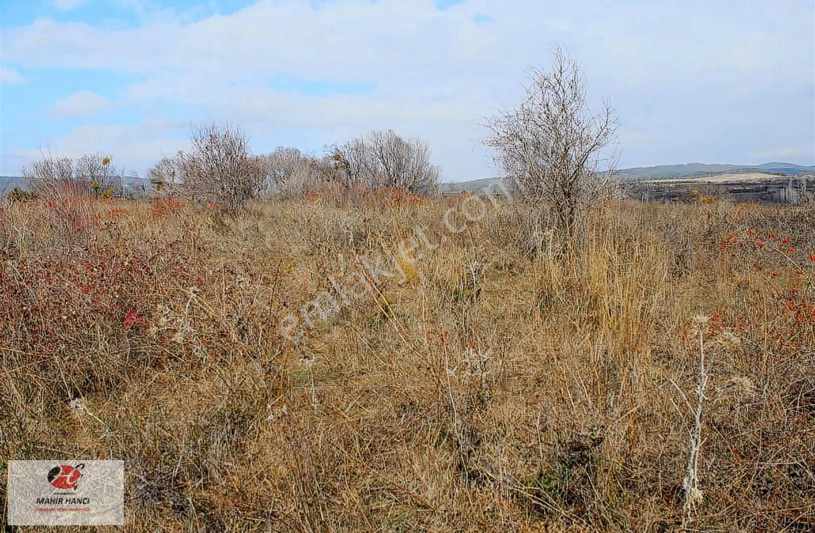 Şarköyde İmara 1,5 Km 6.102 M2 Tek Tapu Tarla - Görsel 2