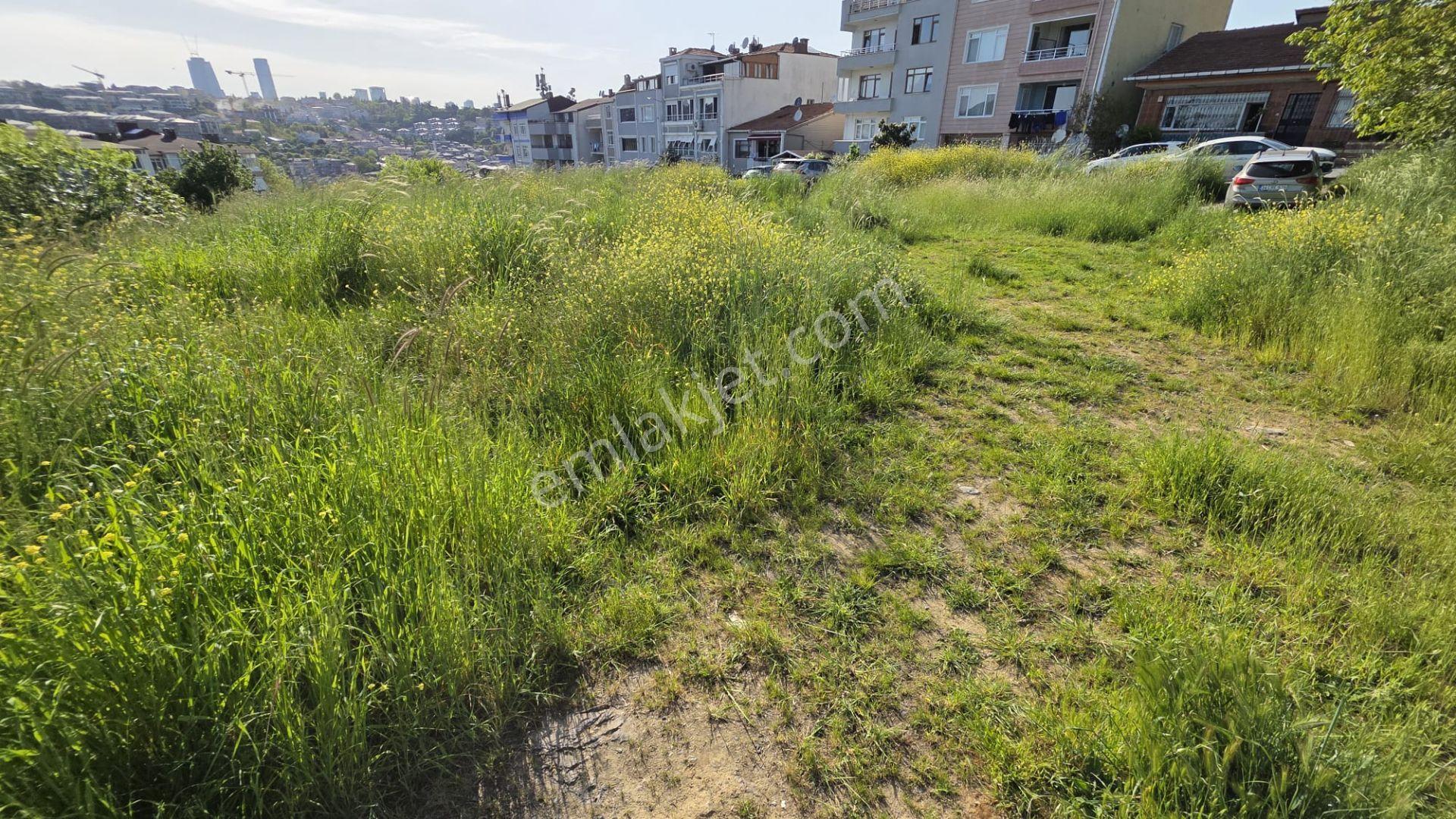 Sarıyer Yeniköy İstinye 525 M² Hisseli Arsa, Emsalsiz Boğaz Manzaralı - Görsel 6