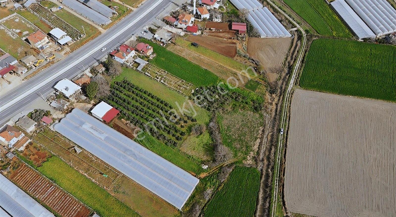 Seydikemer Çobanlar'da 1268 M² Tek Tapu Satılık Tarla - Görsel 3