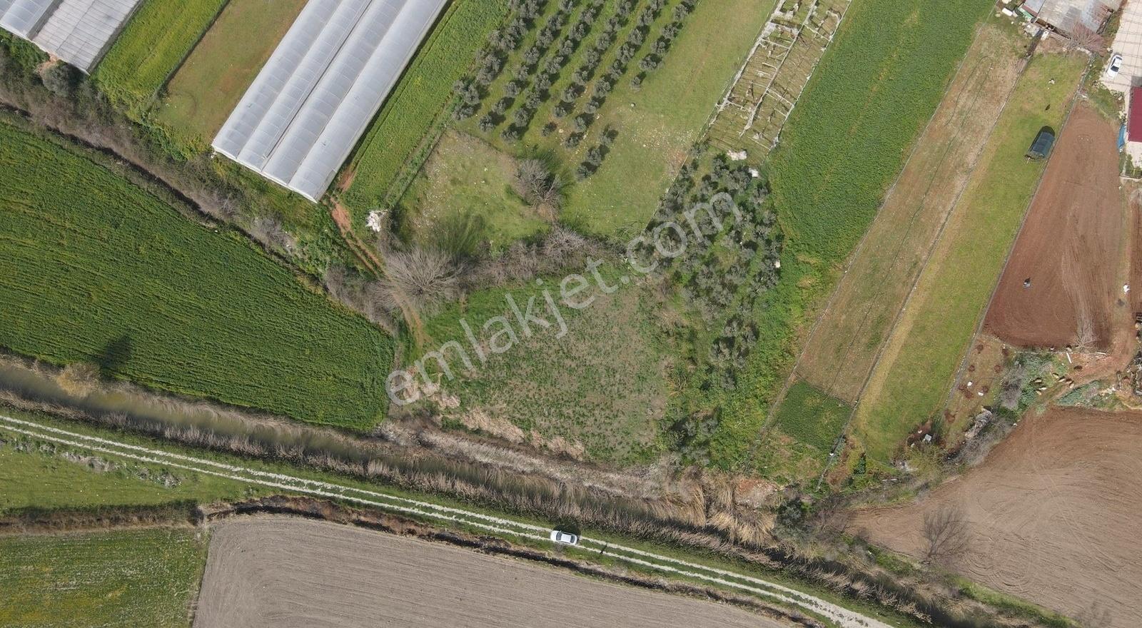 Seydikemer Çobanlar'da 1268 M² Tek Tapu Satılık Tarla - Görsel 12