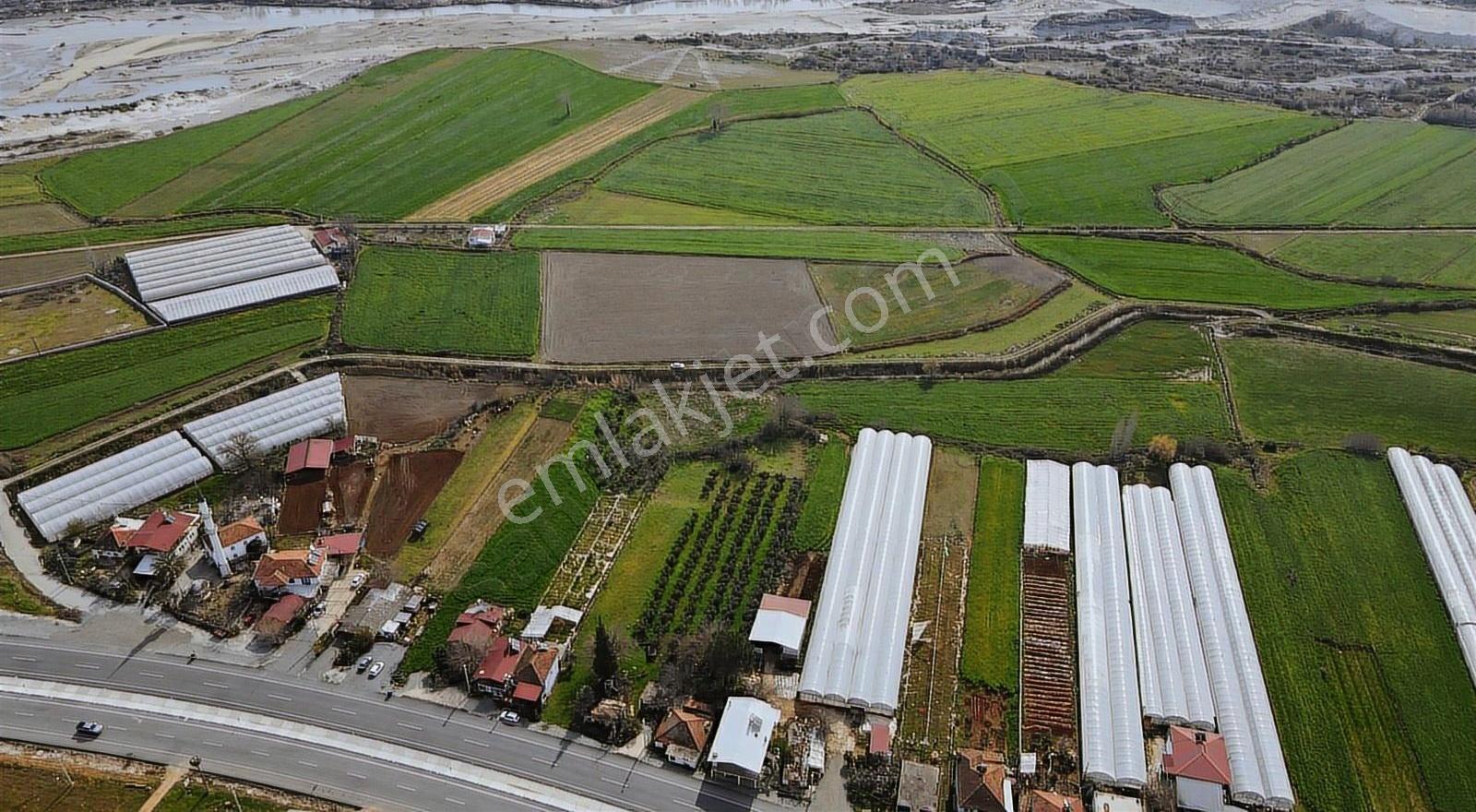 Seydikemer Çobanlar'da 1268 M² Tek Tapu Satılık Tarla - Görsel 4