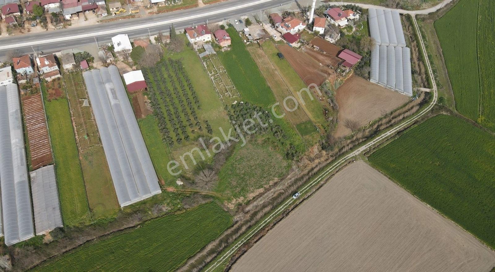 Seydikemer Çobanlar'da 1268 M² Tek Tapu Satılık Tarla - Görsel 21